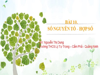 Bài giảng môn Toán Lớp 6 (Cánh diều) - Chuyên đề 1: Số tự nhiên - Bài 10: Số nguyên tố-Hợp số - Nguyễn Thị Dung