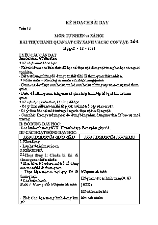 Kế hoạch bài dạy Tự nhiên và Xã hội 1 (Cánh diều) - Tuần 16 - Bài 13: Thực hành quan sát cây xanh và các con vật