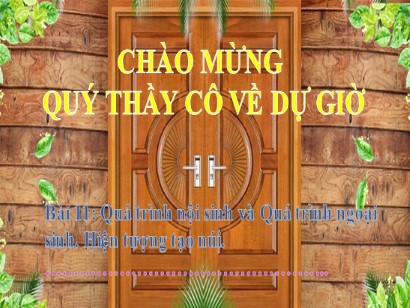 Bài giảng Địa lí 6 (Cánh diều) - Bài 11: Quá trình nội sinh và Quá trình ngoại sinh. Hiện tượng tạo núi