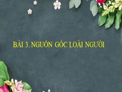 Bài giảng Lịch sử 6 (Cánh diều) - Bài 3: Nguồn gốc loài người