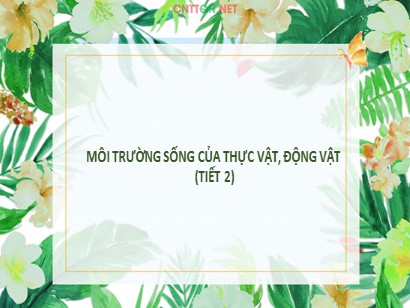 Bài giảng Tự nhiên và Xã hội 2 (Cánh diều) - Tuần 17, Bài 11: Môi trường sống của thực vật và động vật (Tiết 2)