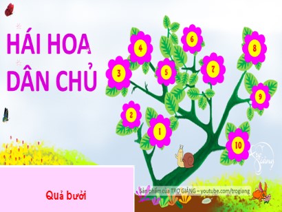 Bài giảng Tiếng Việt 1 (Cánh diều) - Tuần 21 - Bài 106: Ao-eo