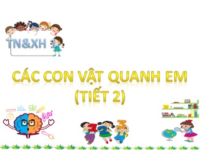 Bài giảng Tự nhiên và Xã hội 1 (Cánh diều) - Chủ đề 4 - Bài: Các con vật quanh em (Tiết 2)