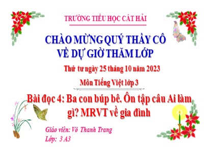 Bài giảng Tiếng Việt 3 (Cánh diều) - Bài đọc 4: Ba con búp bê. Ôn tập câu Ai làm gì? Mở rộng vốn từ về gia đình - Võ Thanh Trang