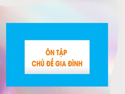 Bài giảng Tự nhiên và Xã hội 3 (Cánh diều) - Ôn tập Chủ đề Gia đình