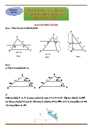 Giáo án ôn tập Toán 8 (Cánh diều) - Chương 8, Bài tập tổng hợp chương tam giác đồng dạng & hình đồng dạng